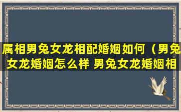 属相男兔女龙相配婚姻如何（男兔女龙婚姻怎么样 男兔女龙婚姻相配吗）